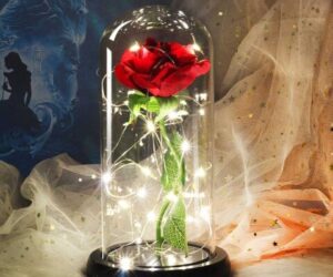 вечна роза в стъкленица