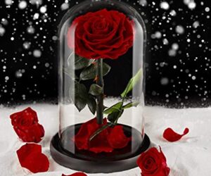 роза в стъкленица