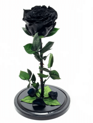 Черна роза в стъкленица с кутия